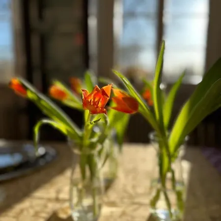 Gut Manderow An Der Ostsee * Hohenkirchen (Nordwestmecklenburg)