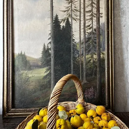 Gut Manderow An Der Ostsee Hohenkirchen (Nordwestmecklenburg)